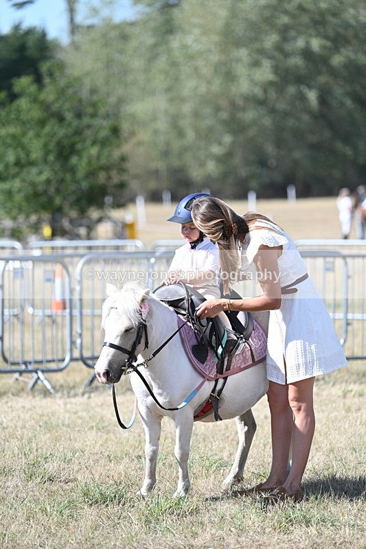 WJ7_1299 - Class 41 Prettiest Mare