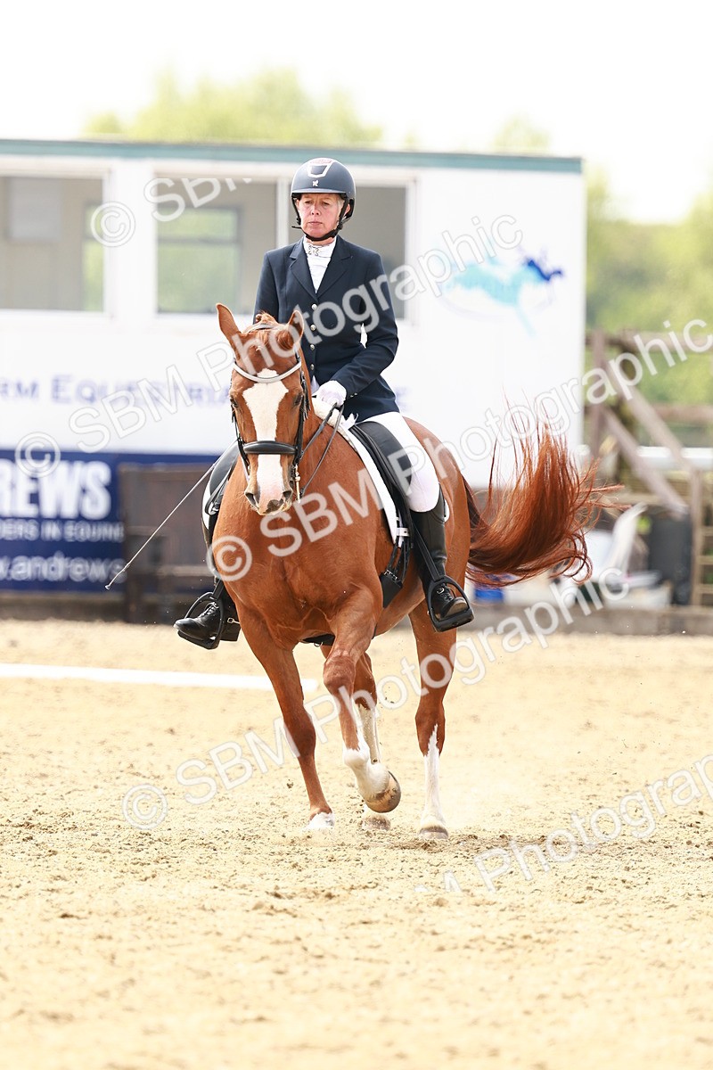 SBM_002877 - Class 12 - Medium 4