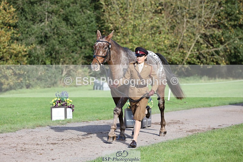 241027-102519-15876 - 501-Captain.Holly.Day-MUSTANG