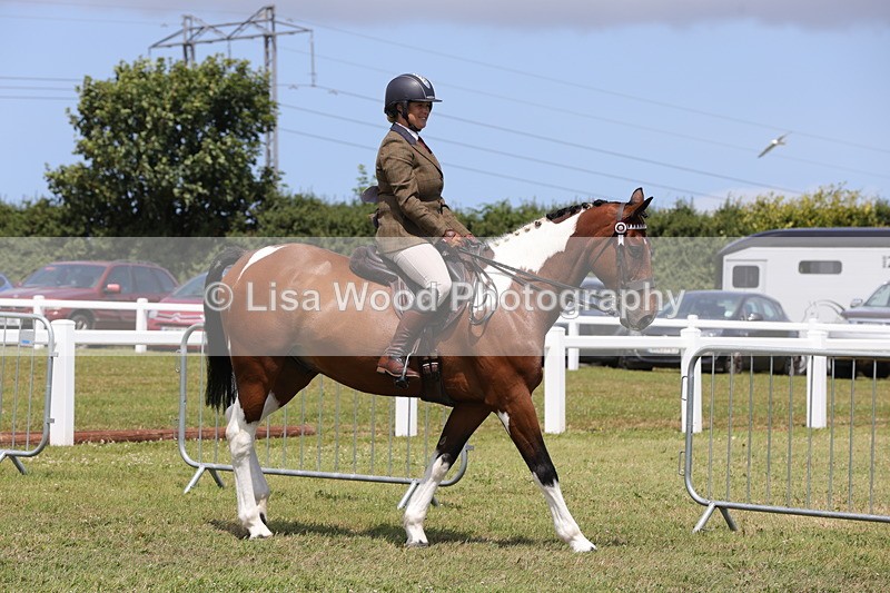 1X9A4258 - Class 34: Veteran Ridden