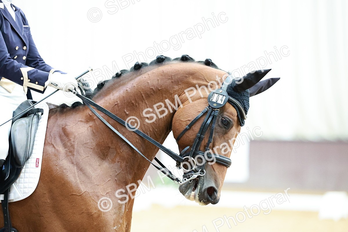 SBM_012561 - Class 3 - FEI PSG - 10.43-11.39