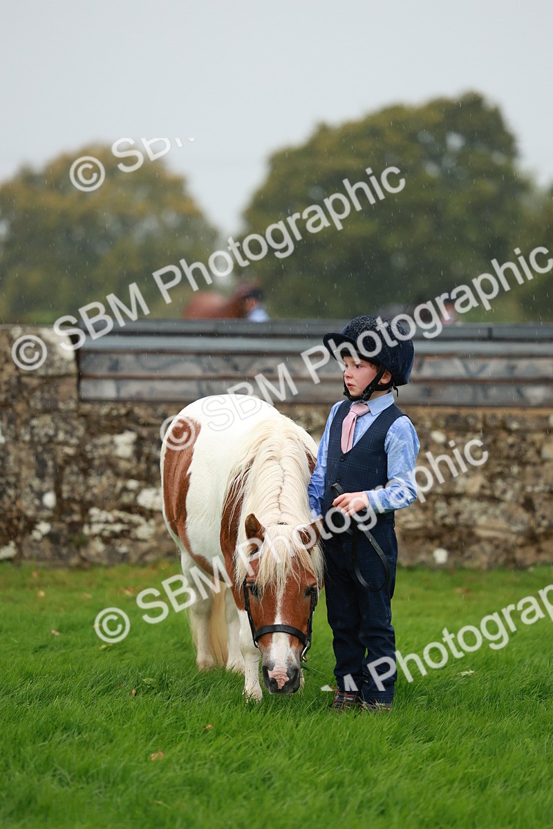 SBM_34918 - S10 - Best In Hand Horse & Pony
