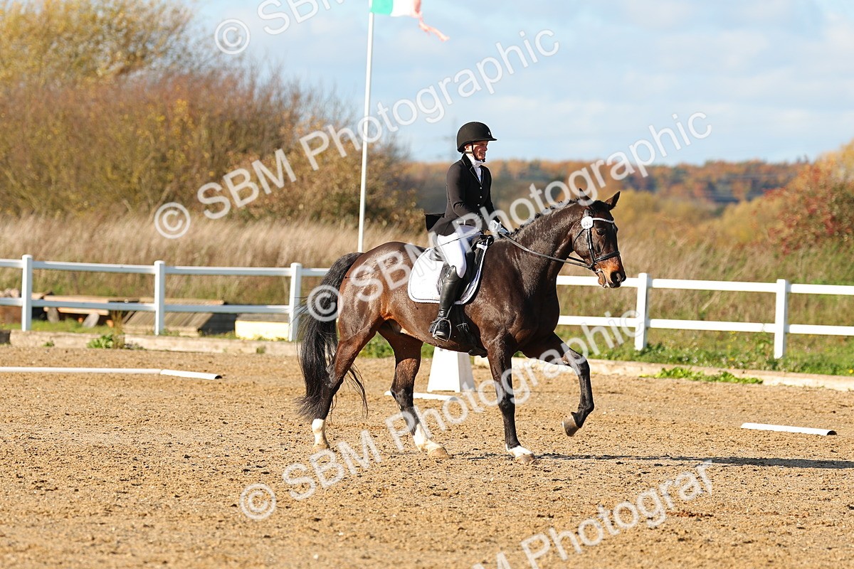 SBM_001475 - Medium 3