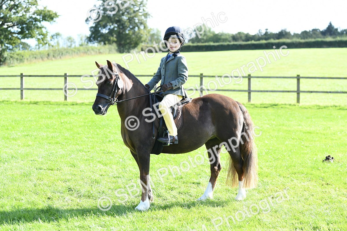 SBM_50397 - S21 - Novice & Newcomers 1st Ridden Pony