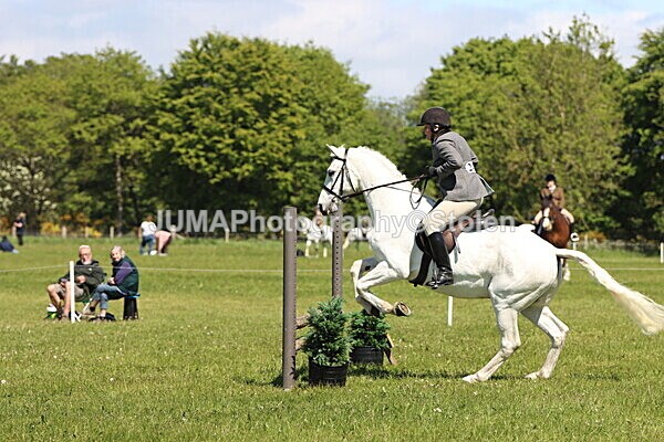 IMG_3985 - Working Hunter