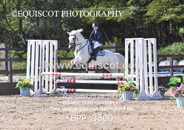 BPP_3500 - CLASS 2 Club/ Unaffiliated 80cms Open
