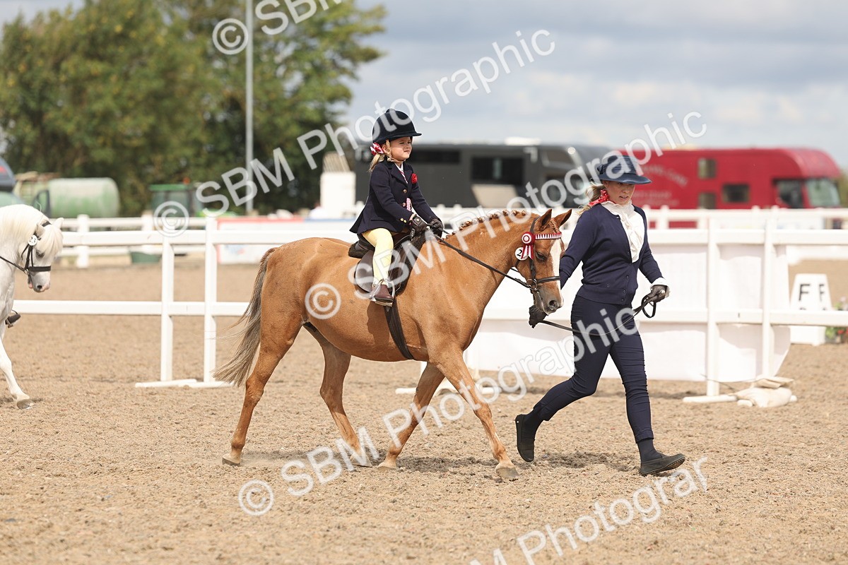 SBM_04604 - Class 19 - Horse/Pony Judge would most like to take home