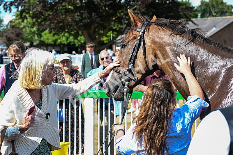 020725-Race 5-Mereside Madness-2729 - Race 5