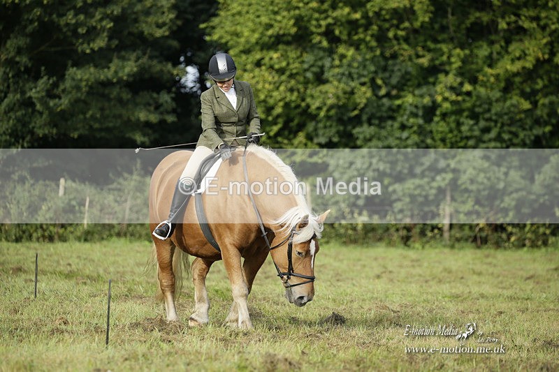 BVRC 120921 9 - Bourne Valley Riding Club UA Dressage & Show Jumping 12/09/21