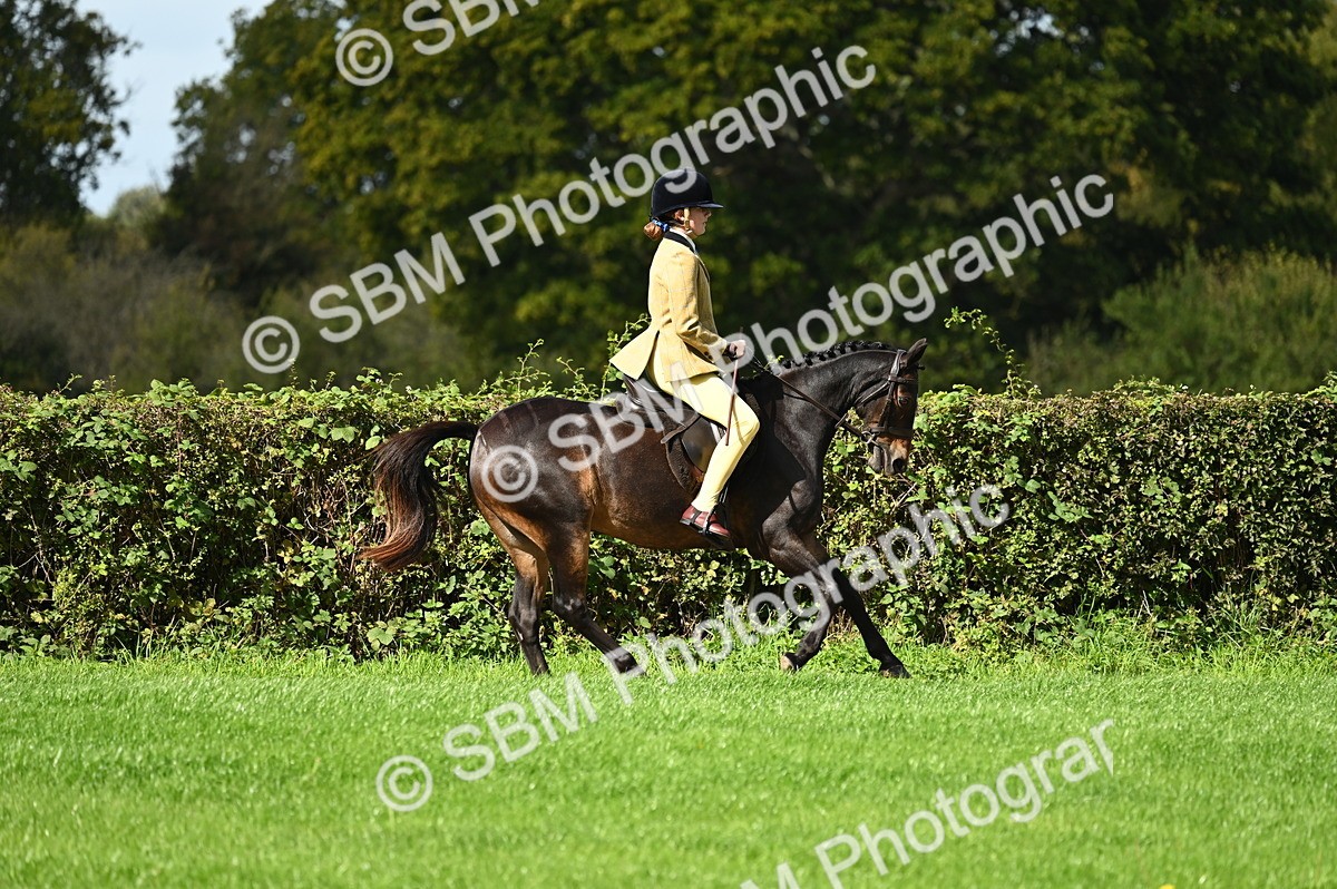 SBM_02675 - S3 - TSR Ridden Pony Showing