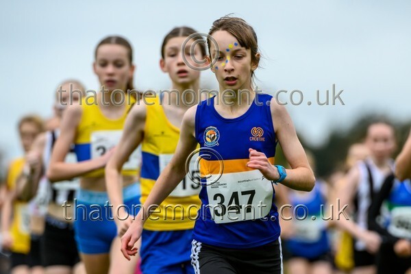 WestRLY25-923428 - Young Female Set One