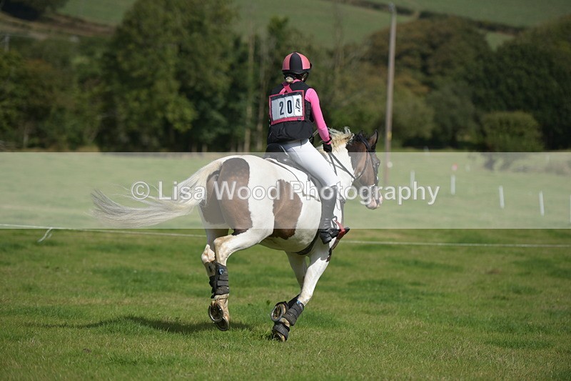 RAY_8637 - Class 2: Trekenning Open: Wall