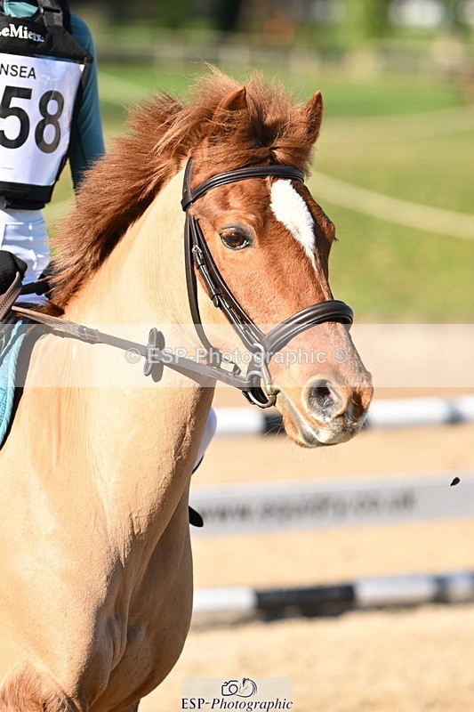 250302A-095808-01368 - Cls 01 70-75cm