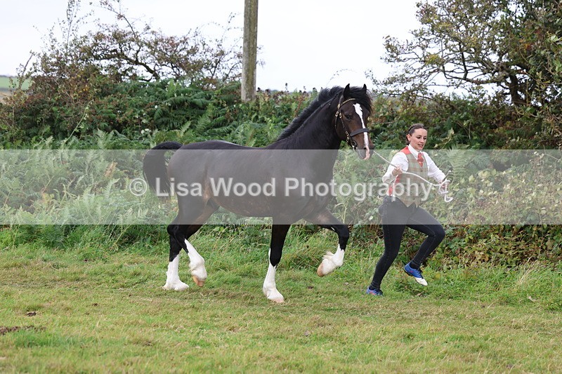 3E7A4116 - Class 15: Two Year Olds