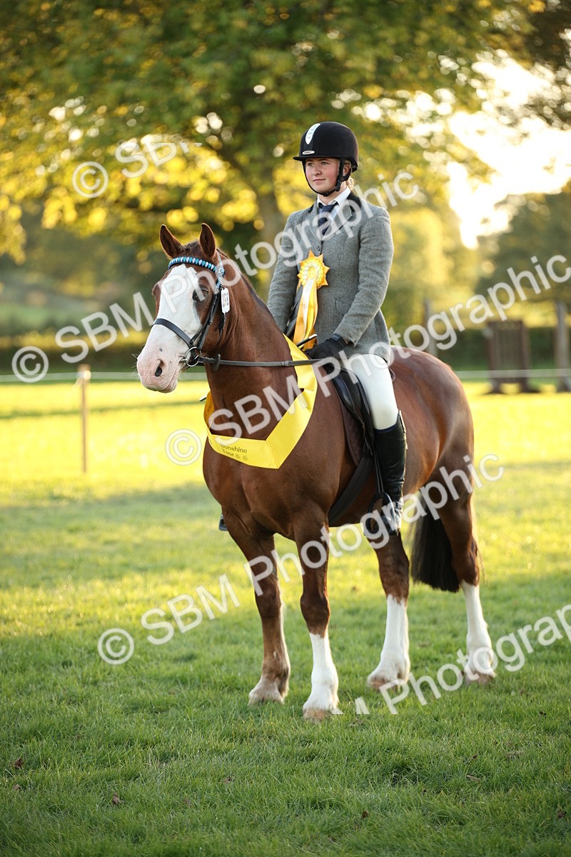 SBM_57060 - Veteran Supreme Championship