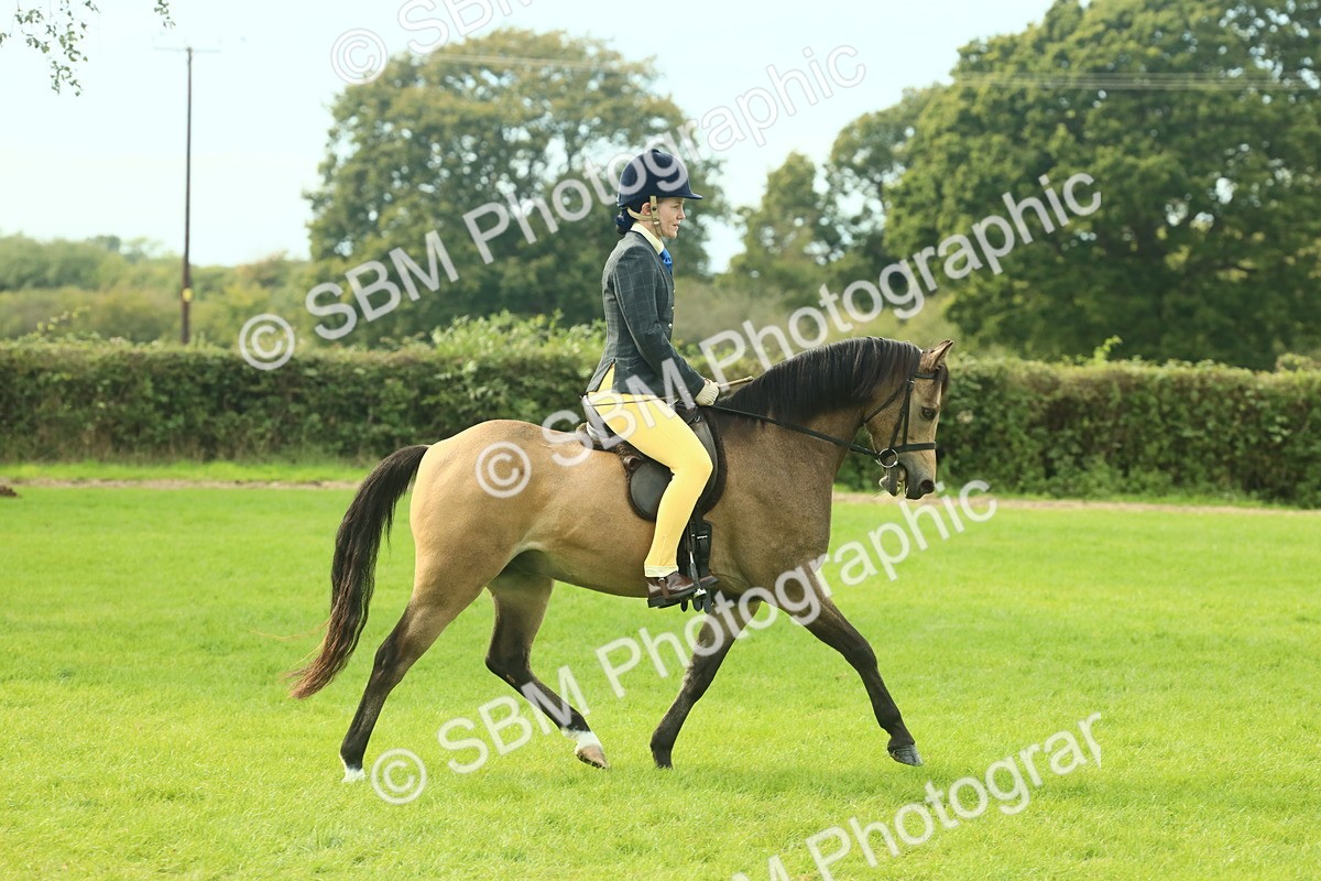 SBM_69809 - S59 - Mountain & Moorland Ridden Small Breeds