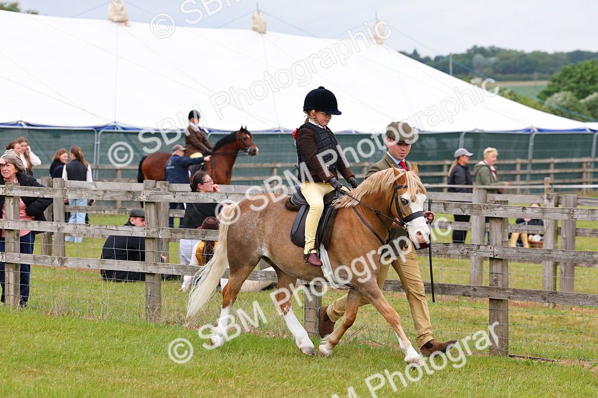 SBM_08100 - Class 42-43 - LIHS BSPS Heritage Working Sports Pony