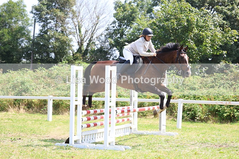 3E7A2841 - Class 7: Senior British Novice/90cm open