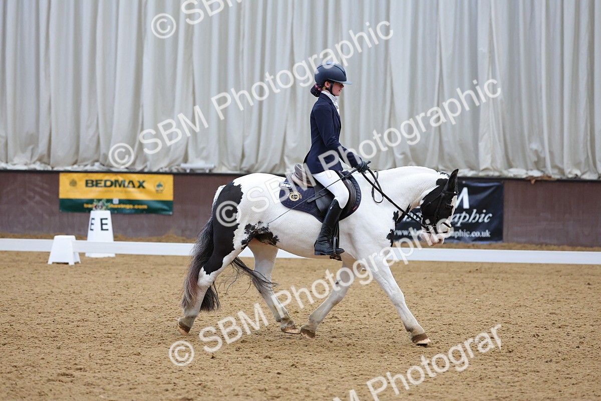 SBM_003090 - Novice