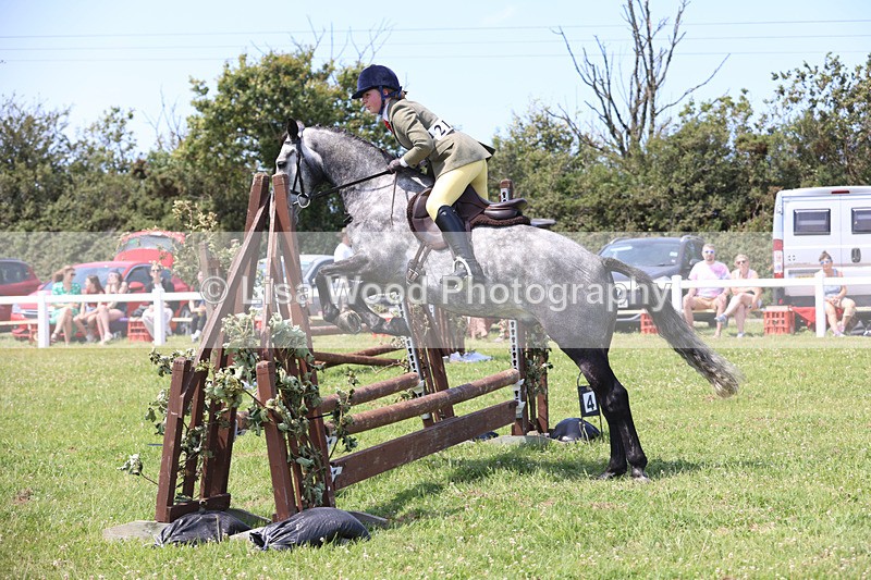 JPP_2468 - Class 21: Working Hunter 60cm