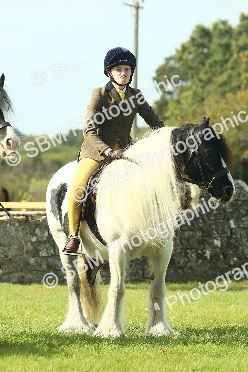 SBM_68931 - S58 - Mini Show Cob Ridden