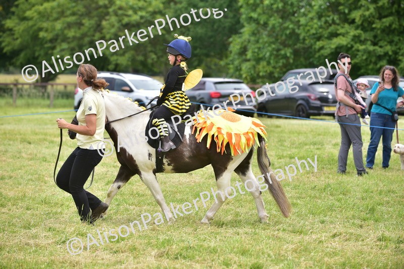 20260614-3273 - Class 14 - Fancy Dress