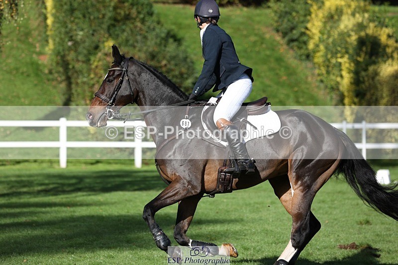 231022-112453-25144 - 687-VLOVE.D.OR.LY-Hani.Milstein-TrotUp+SJ