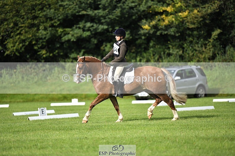 230826-091246-15053 - Sections C & D 9 to 10am