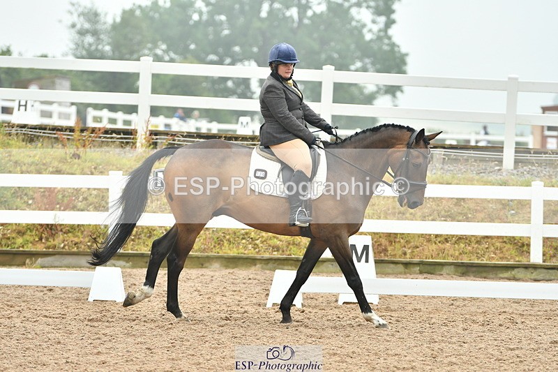 230708A-144003-02959 - Elementary 43