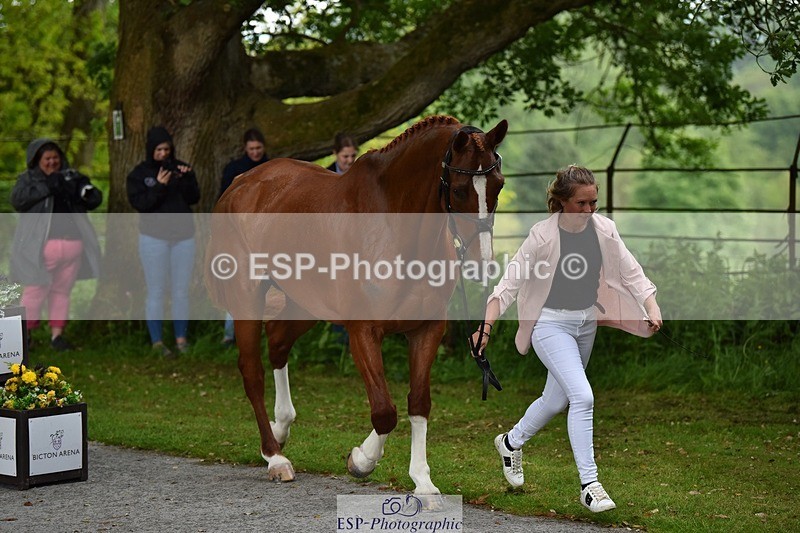240522-151152-00157 - 312-DALOUBET_MANSOLEIN_Z-Kat_Raybould