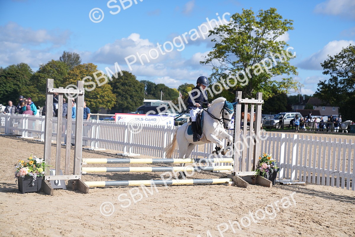 SBM_02474 - J54 Clear Round 45cm