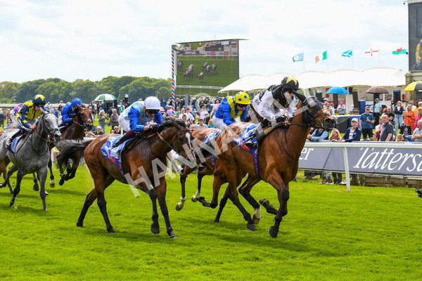 170523-Race 1-Scampi-0198 - Race 1 1.50pm Sky Bet Race To The Ebor Jorvik Handicap