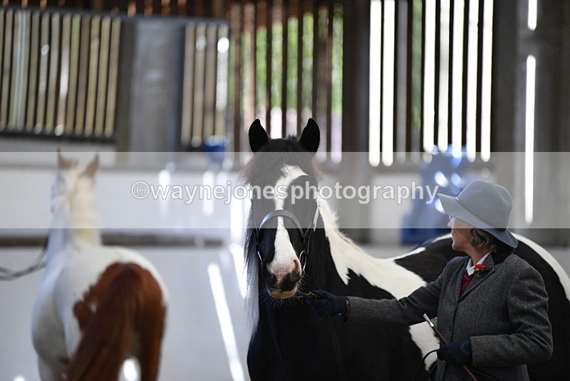 WJ5_5118 - Class 7 In hand coloured / odd coloured