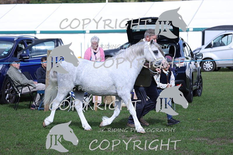 APP_2773 - Class 10a/b M&M in hand