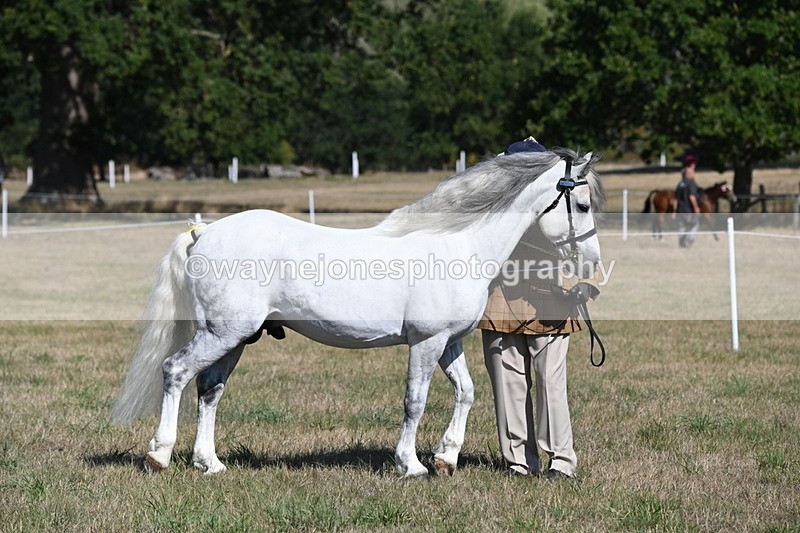 WJ6_4314 - Class 16 Condition & Turn Out