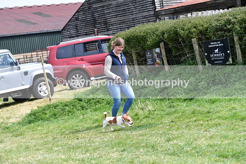 WJ5_0338 - Class 7 Best Terrier