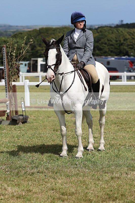 JPP_2367 - Class 19: Working Hunter 60cm