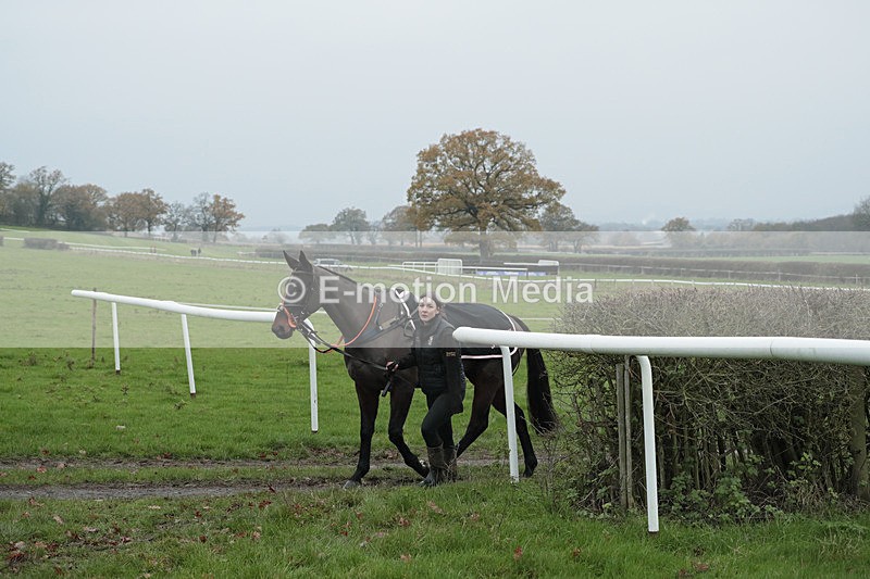 PtP 041222 0144 - Wheatland  Hunt PtP Chaddesley Corbett, Worcs 04/12/22