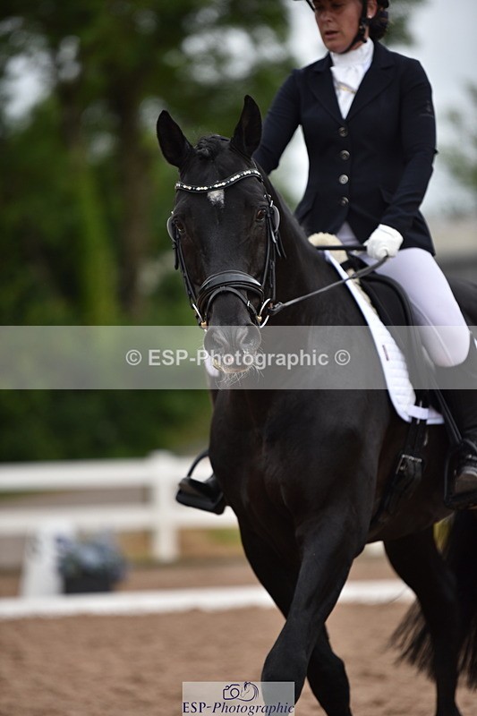 240623A-114838-17344 - Cls 47 BD Novice 22