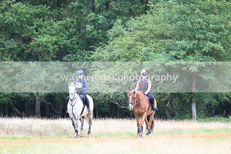 DSC_6742 - Time at Statue 12:45 to 13:15