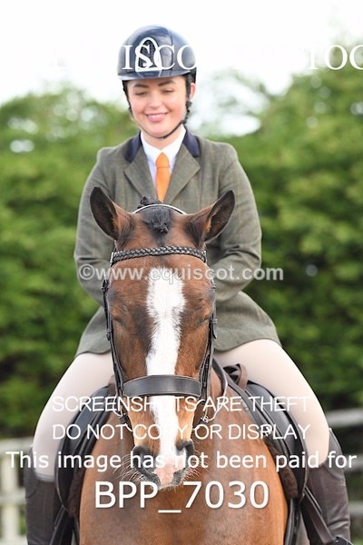 BPP_7030 - RING 1  (RIDDEN HORSES / IN HAND / VETERAN ETC)