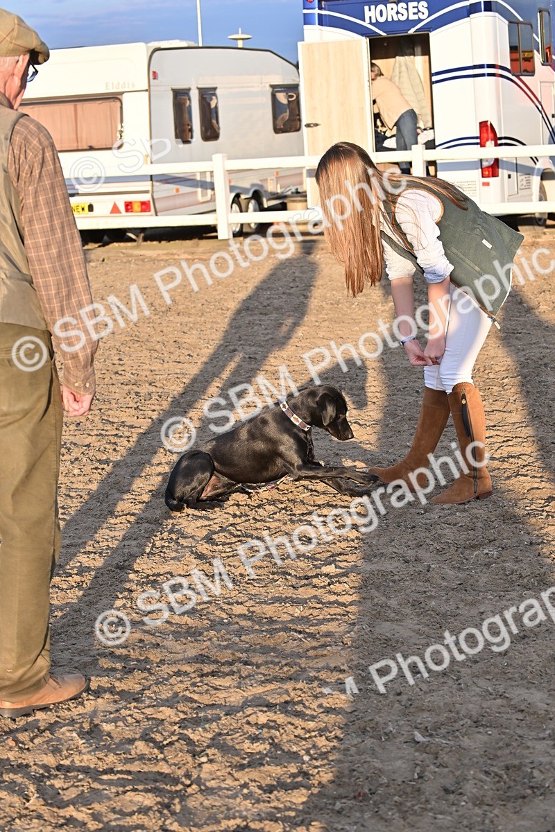 SBM_09657 - Lorry Dogs