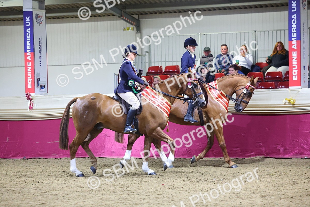 0B8A4354 - Class M Ridden Pairs Champ