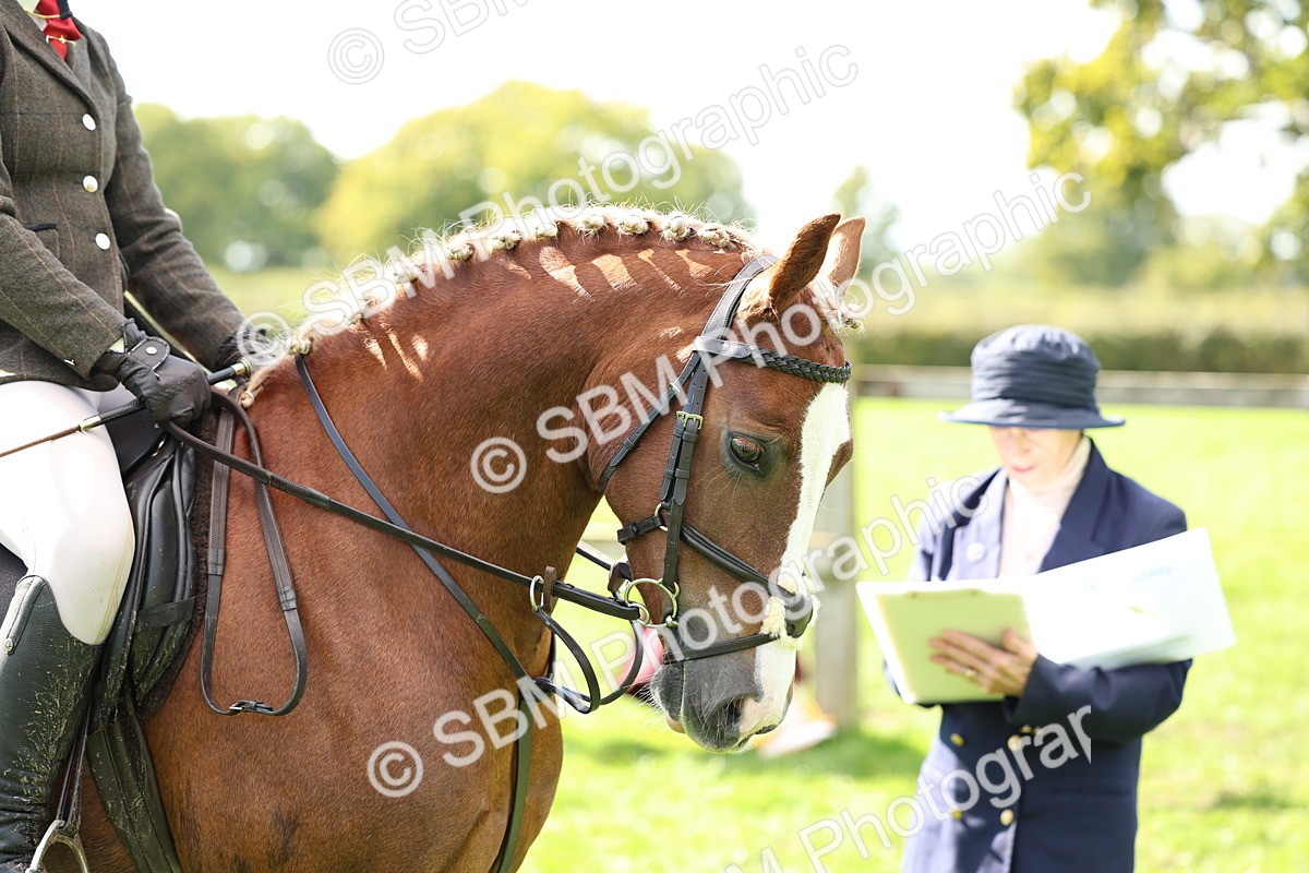 SBM_45419 - S33 - Working Hunter Pony