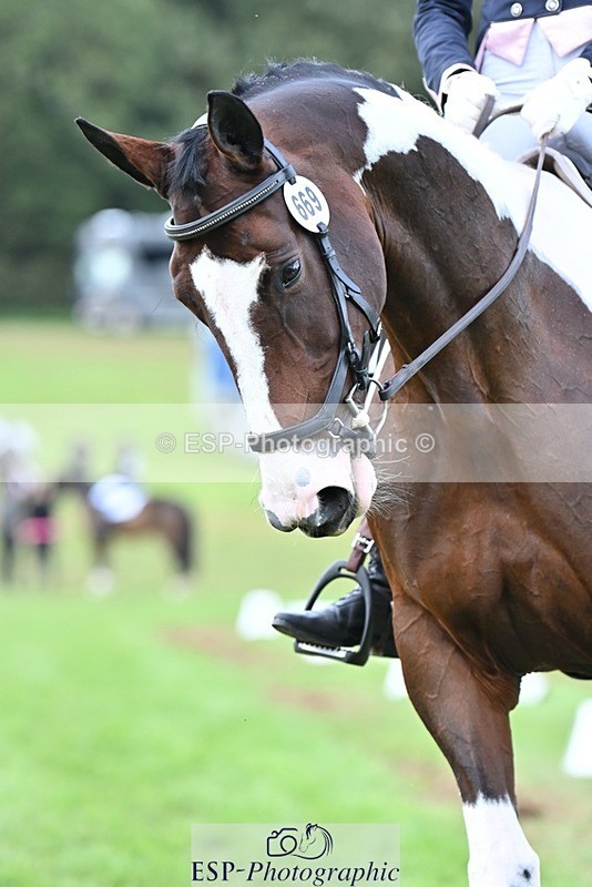 231020-144925-10999 - 669-FOXRIDGE.HIGH.JINX-Claire.Deuten-DR