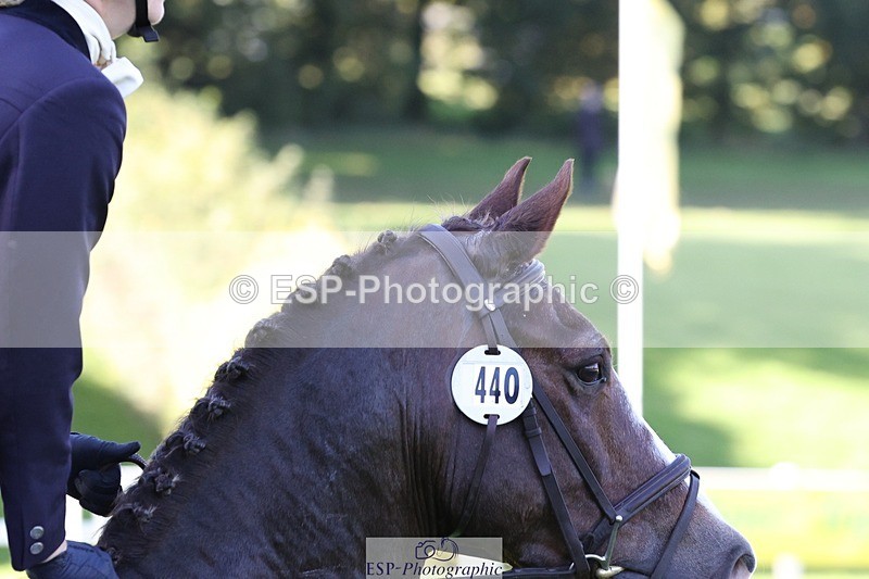 231022-143434-28218 - 440-LODOR.CARL-Katie.Mathias-TrotUp+SJ