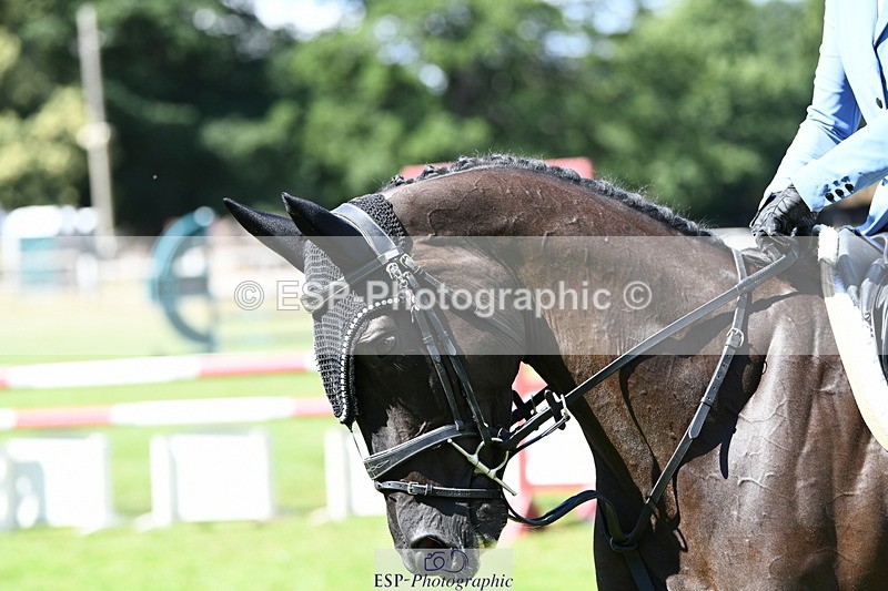 250703A-103734-00510 - Cls 11 5 Year Old