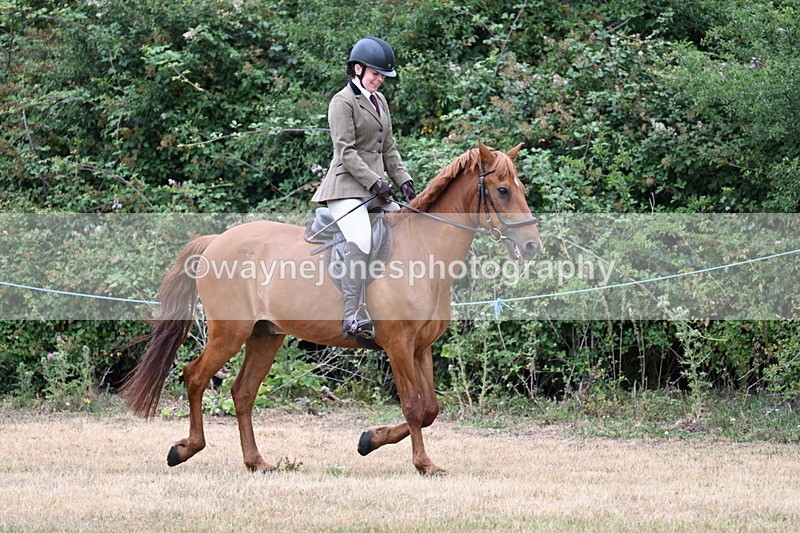 WJ7_0380 - Class 2 Best rider
