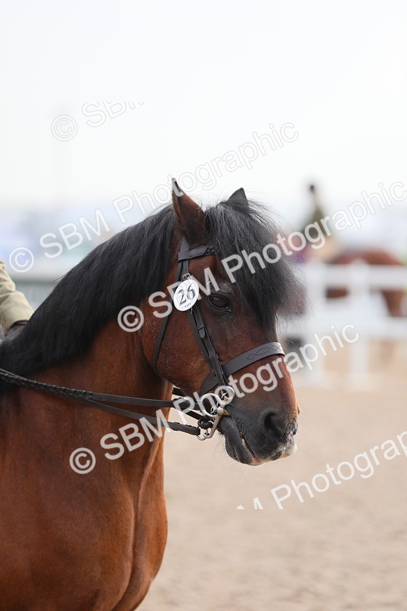 SBM_09637 - Class 301 Ridden M&M -Small Breeds