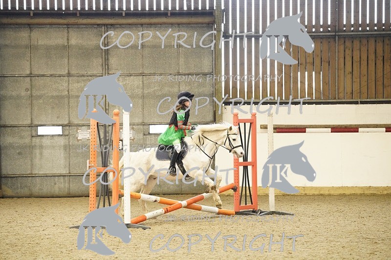 _DSC3261 - 50cm/60cm Pairs